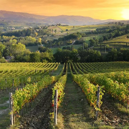 Casa Citille - Happy * Greve in Chianti